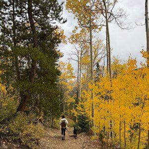 Meet your Posher, Maggie